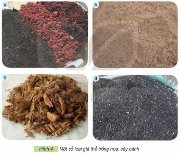 Khám phá trang 19 SGK Công nghệ 4