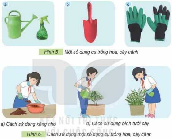 Khám phá trang 20 SGK Công nghệ 4