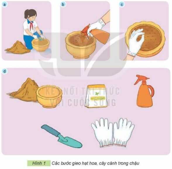 Luyện tập trang 22 SGK Công nghệ 4