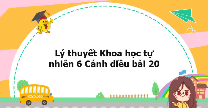 Lý thuyết Khoa học tự nhiên 6 Cánh diều bài 20 - Vai trò của thực vật ...