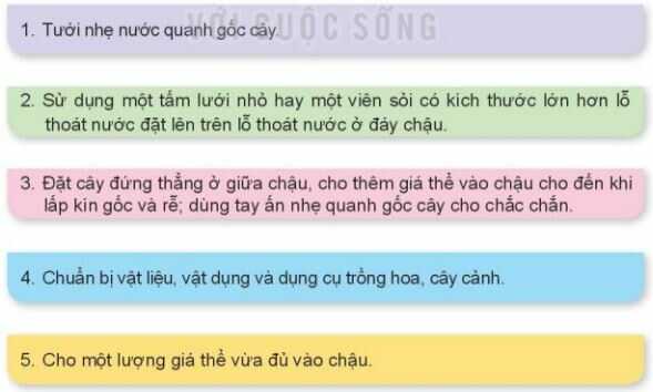 Khám phá trang 21 SGK Công nghệ 4