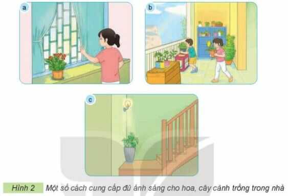 Khám phá trang 28 SGK Công nghệ 4