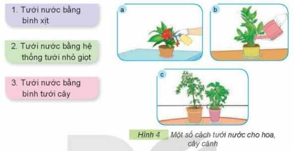 Khám phá trang 29 SGK Công nghệ 4