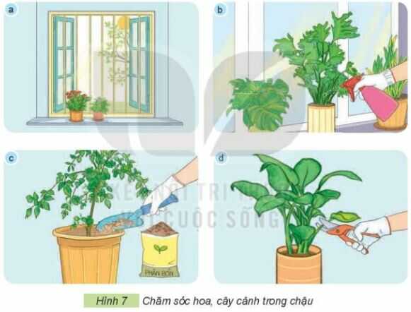 Thực hành trang 31 SGK Công nghệ 4