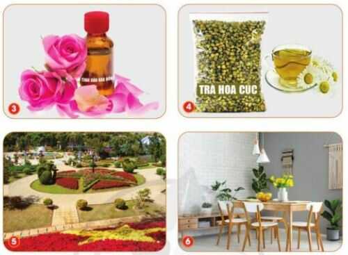 Khám phá trang 5 SGK Công nghệ 4