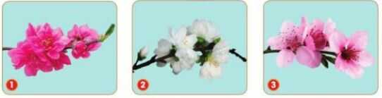 Khám phá trang 8 SGK Công nghệ 4