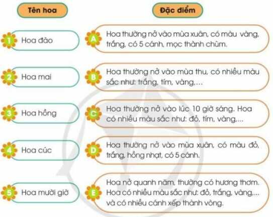 Trò chơi trang 11 SGK Công nghệ 4