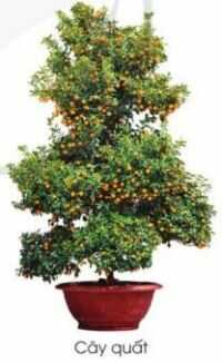 Khám phá trang 12 SGK Công nghệ 4