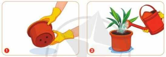 Khám phá trang 18 SGK Công nghệ 4