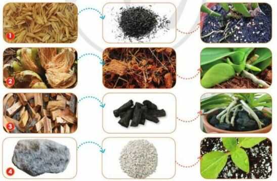 Khám phá trang 19 SGK Công nghệ 4