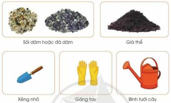 Khám phá trang 22 SGK Công nghệ 4