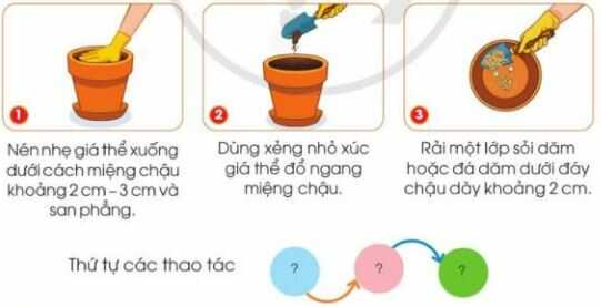 Khám phá trang 23 SGK Công nghệ 4