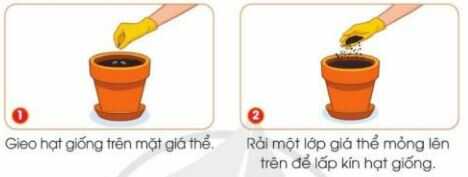 Khám phá trang 24 SGK Công nghệ 4