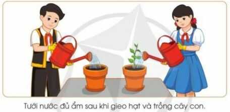 Khám phá trang 25 SGK Công nghệ 4