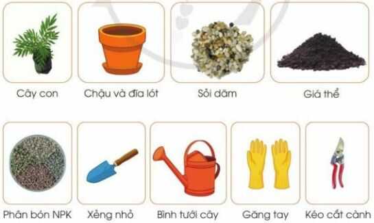 Khám phá trang 27 SGK Công nghệ 4