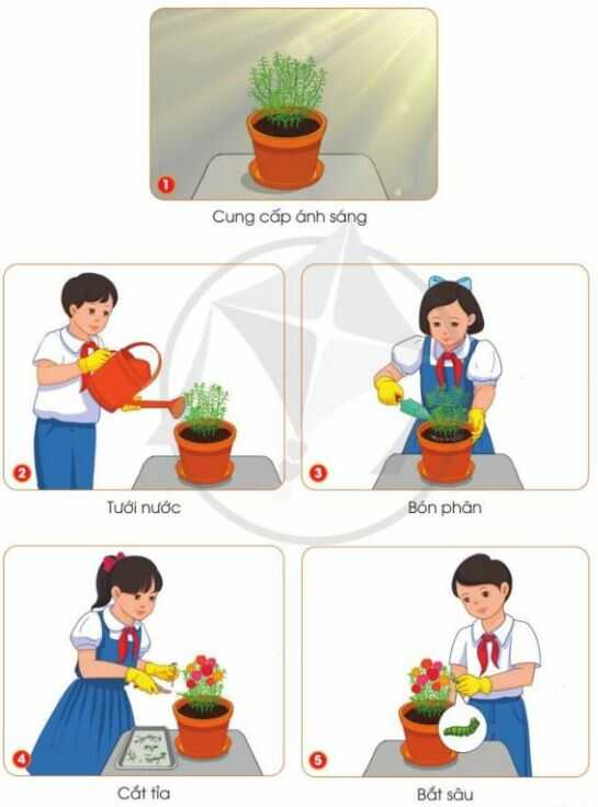 Thực hành trang 32 SGK Công nghệ 4