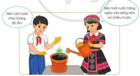 Khám phá trang 29 SGK Công nghệ 4