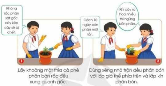 Khám phá trang 30 SGK Công nghệ 4