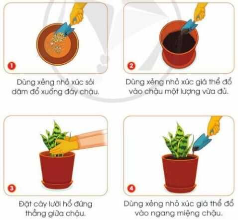 Khám phá trang 36 SGK Công nghệ 4