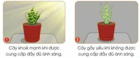 Khám phá trang 37 SGK Công nghệ 4