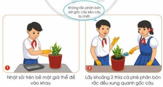 Khám phá trang 38 SGK Công nghệ 4