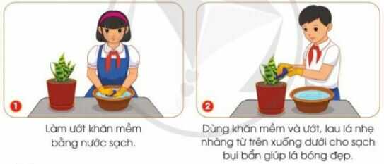 Khám phá trang 39 SGK Công nghệ 4