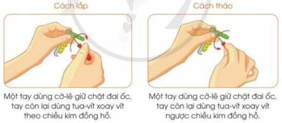 Khám phá trang 46 SGK Công nghệ 4