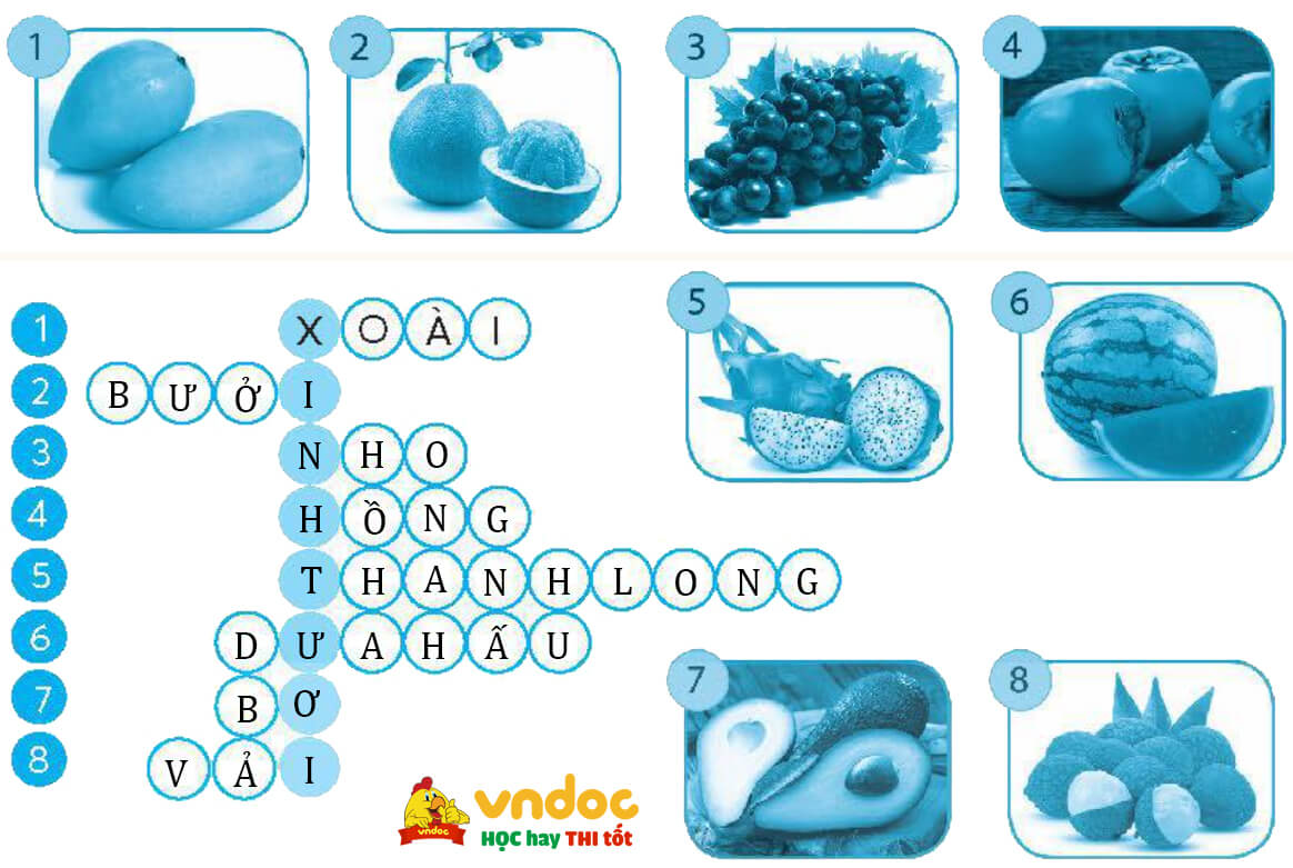 Bài 5 Hoa cúc áo lớp 4 Vở bài tập