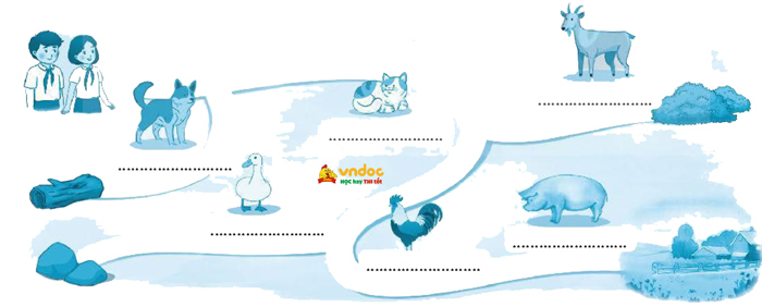 Bài 5: Biển và rừng cây dưới lòng đất