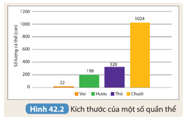 Hình 42.2