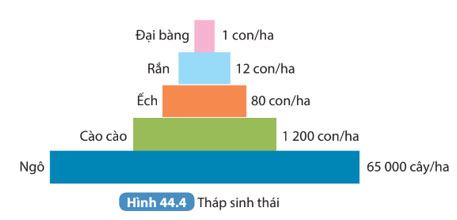 Hình 44.4