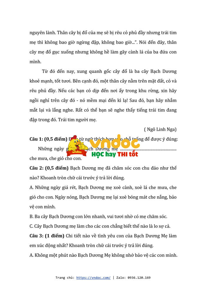 de thi giua hoc ki 2 lop 5 mon tieng viet so 2 h5*571391