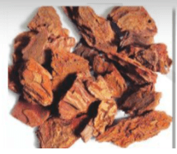 Lý thuyết công nghệ 10