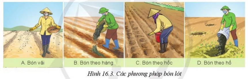 lý thuyết công nghệ 10