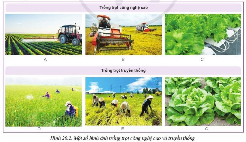 lý thuyết công nghệ 10