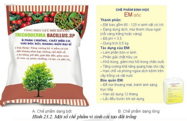 lý thuyết công nghệ 10