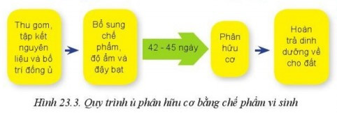 lý thuyết công nghệ 10