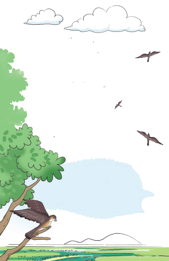 Con chim chiền chiện lớp 4