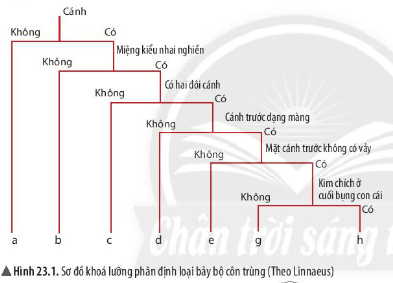 Giải KHTN lớp 6 Bài 23 Thực hành xây dựng khóa lưỡng phân