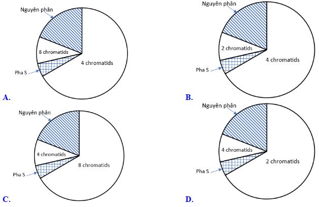 Đề thi thử THPT Quốc gia năm 2024 lần 1 môn Sinh học trường THPT Kiến Thụy Hải Phòng