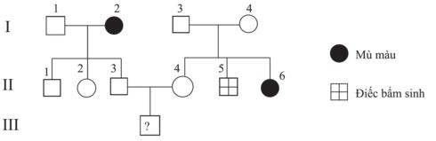 Đề thi thử THPT Quốc gia năm 2024 lần 3 môn Sinh học trường THPT Đội Cấn, Vĩnh Phúc