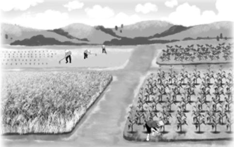 Vở bài tập Toán lớp 4 Tập 2 trang 20 Bài 4