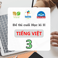 03 đề thi học kì 2 môn Tiếng Việt lớp 3 năm 2024