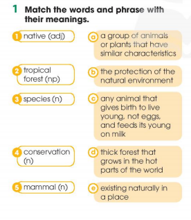 Tiếng Anh 11 Global Success Unit 10 Language