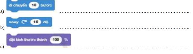 Đề thi học kì 2 môn Tin học 4 Cánh diều