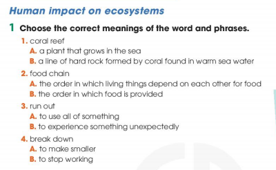 Tiếng Anh 11 Global Success Unit 10 Listening