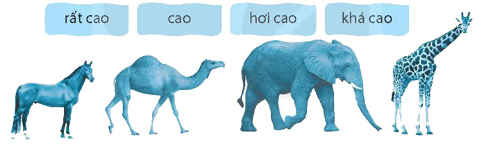 Giải Vở bài tập Tiếng Việt lớp 4 trang 84 Tập 1 Kết nối tri thức