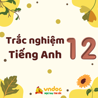 In both the convention on the rights of the child trắc nghiệm