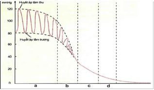 Đề thi thử bám sát đề minh họa 2024 môn Sinh