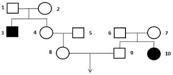 Đề thi thử bám sát đề minh họa 2024 môn Sinh